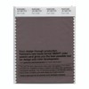 Pantone Smart Swatch 18-1506 Plum Truffle