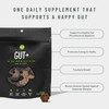 Get Joy Gut+ Digestive Health Dog Supplement Chews, 90 Soft