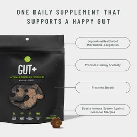 Get Joy Gut+ Digestive Health Dog Supplement Chews, 90 Soft Chews, Chicken Flavor, Supports Digestion & Immunity, with Pre, Pro & Postbiotics, PhD Animal Nutritionist Formulated, Produced in USA