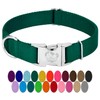 Country Brook Petz Premium Nylon Dog Collar with Metal Buckle for Small Medium Large Breeds - Vibrant 30+ Color Selection (Small, 3/4 Inch, Green)