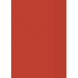 Baier Schneider Heftumschlag &BOOK, A4 21.6 x 30,8 CM Red