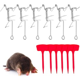 Qualirey 6 Pcs Mole Trap Pocket Mole Traps with 6 Plastic Marker Signs for Outdoor Lawn Trapping Kill Animal Ground, 9.84 x 2.95 x 2.76 Inches, Silver