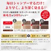 Sastty Color Shampoo for Gray Hair, 16.9 fl oz (500