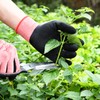 DOFOWORK Gardening Gloves - 6 Pair Medium Size Red &
