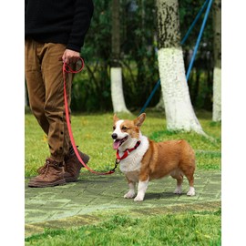 HSIGIO Martingale Collar for Dogs, Reflective Martingale Dog Collar and Leash Set, No Pull Adjustable Dog Training Collars with Quick Release Buckle for Small Dogs(Red, S)