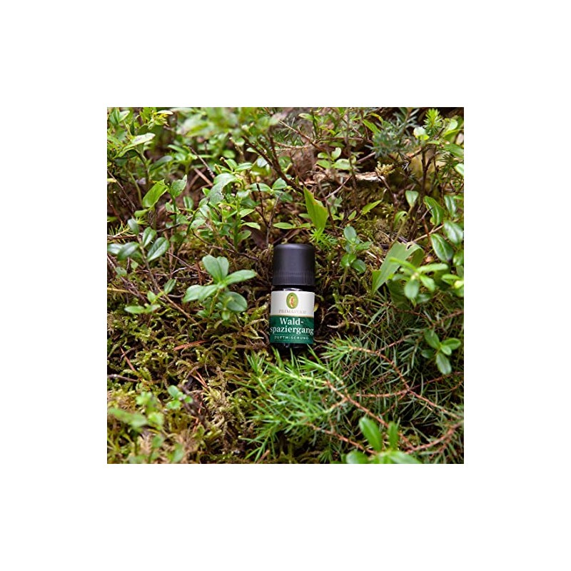 Primavera Wellbeing Series Blended Essential Oil Forest Walk 5ml PV18518