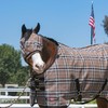 Kensington UV Horse Fly Mask with Web Trim - Protective