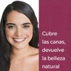 Grecian Lady 5 Shampoo Tinte Canas, Normal, Castaño a Negro,