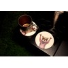 Novelty Raccoon Coasters for Drinks with Holder Leather Coasters Set