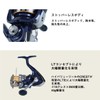 Daiwa 20 Crest LT2500S-XH Spinning Reel, 2020 Model