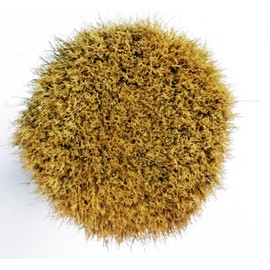 Chalk Mountain Brushes 6 Pack Original Designed Palm Wax Brush. Perfect for Wax Painting and Stenciling. Ergonomic Design which is Easy on Arthritic Hands and Aluminum Ferrule to Ensure no Rusting