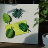 AGDGV 8 Pcs Monstera Plant Fridge Magnets | Cute Mini