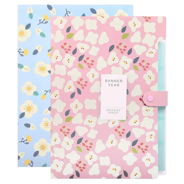 Hwtcjx Pack of 2 A4 Document Folders, Expandable Folder with