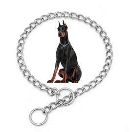 Silver Choke Collar for Dogs,SUS304 Stainless Steel Metal Slip Link Martingale Dog Collar Chain Training Heavy Duty Dog Choker Collar Puppy Collars for XXS XS Small Medium Large Big Breed Dogs,XS