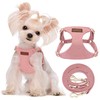 Puppytie No Pull XXS Puppy Harness with Multifunction Dog Leash,Soft