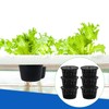 Hydroponic Mesh Net Pots, 6 Pieces, Black Plastic Garden Baskets