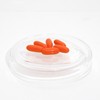 Tonik Turmeric Capsules, 120 Capsules