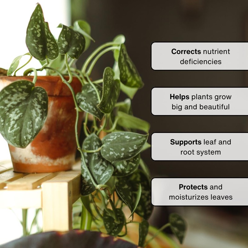 Organic Leaf Wellness Spray for Plants - Protect & Nourish