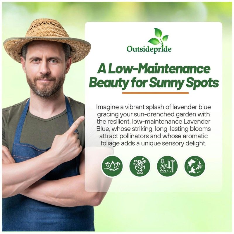 Outsidepride Lavender Blue Giant Hyssop Seeds for Planting - 2000