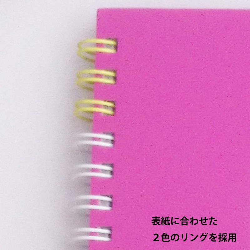 Maruman Sketchbook Art Spiral F4 Thick Drawing Paper, 24 Sheets,