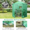 Hexagonal Walk-In Garden Greenhouse with PE Cover and Metal Frame