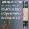Original Satya Nag Champa Patchouli Forest Sticks | with M&J