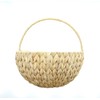 Dekoleidenschaft Water Hyacinth Wall Planter Natural Indoor Wall Planter Basket