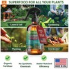 GARDENERA Professional Organic Liquid Kelp Spray for POTHOS Plants -
