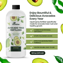 Hithrive 16oz Fruit Tree Fertilizer for Avocados - Makes 32 Gallons of Avocado Tree Fe...