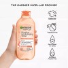 Garnier Micellar Water Facial Cleanser Exfoliating Toner with Glycolic Acid
