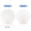 HOHUCRAB 30pcs 2-3inch Scallop Shells, Natural Scallop Shells, Sea Shells