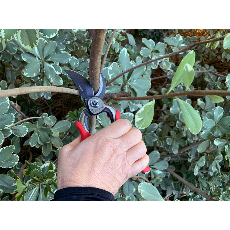 Corona BP 7200 Forged Pro Cut Bypass Hand Pruner, 1-Inch,