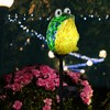 Afirst Solar Frog Garden Stake Lights Hand Blown Glass Decorative