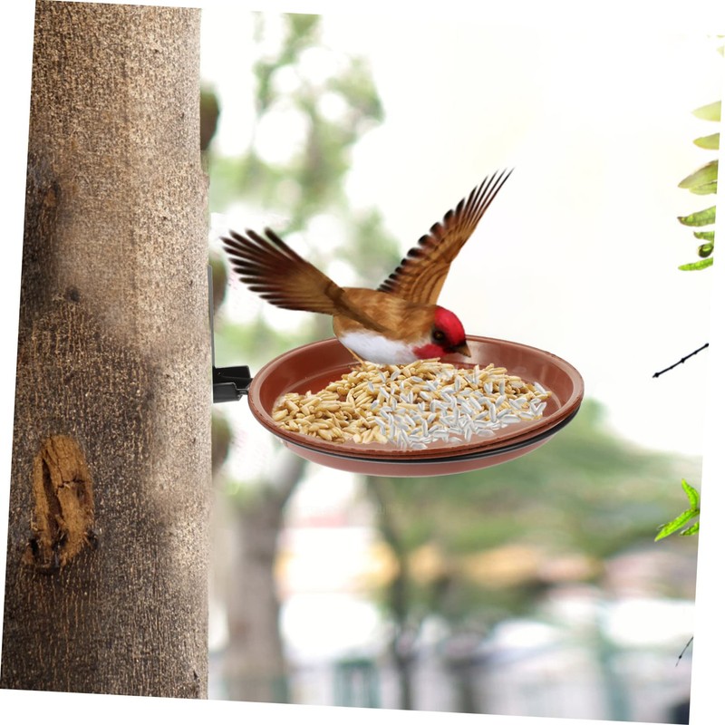 CAXUSD 1 Set Bird Feeder Set Platform Bird Feeder with
