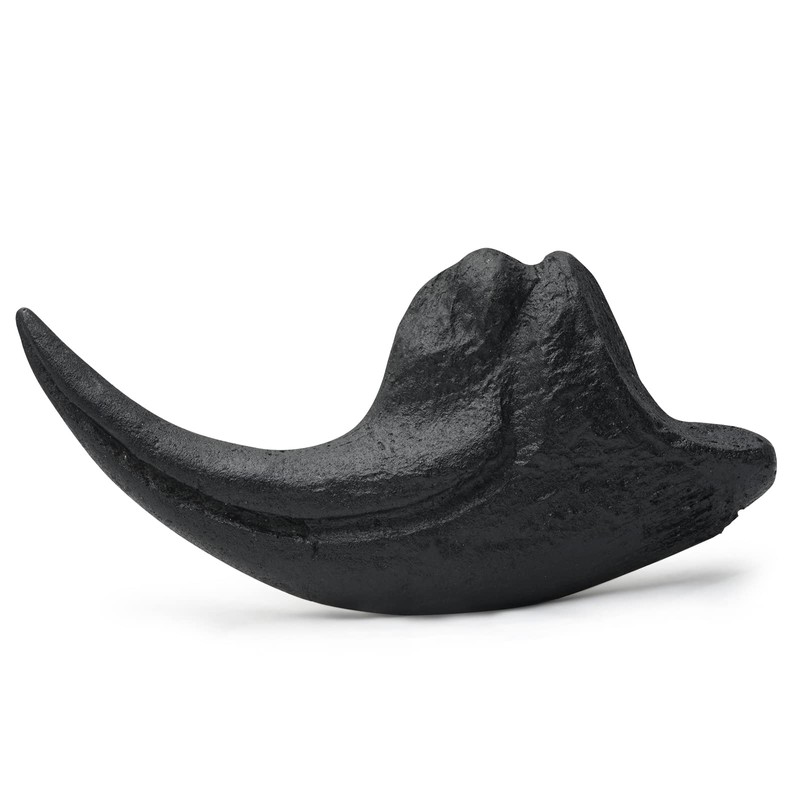 Fossilized Teeth and Claws of Various Prehistoric Dinosaurs, Megalodon Shark