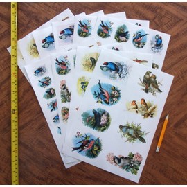 Decoupage Paper Pack (10sheets A4 / 8"x12") Beautiful Birds FLONZ Vintage Paper