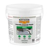 Rust-Oleum Concrete Saver Pro Pourable Concrete Repair, 10 lb, Limestone