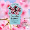 TONYMOLY I’m Cherry Blossom Sheet Mask – Korean Hydrating &