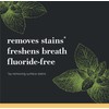Burt's Bees Toothpaste, Natural Flavor, Charcoal Fluoride-Free Toothpaste, Zen Peppermint,