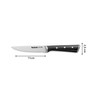 Tefal Ice Force Stainless Steel Steak Set of 411 cm,