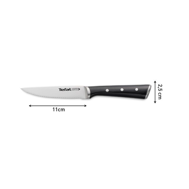 Tefal Ice Force Stainless Steel Steak Set of 411 cm,