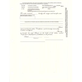 CORPEX Blank Stock Certificates with Eagle | Pack of 25