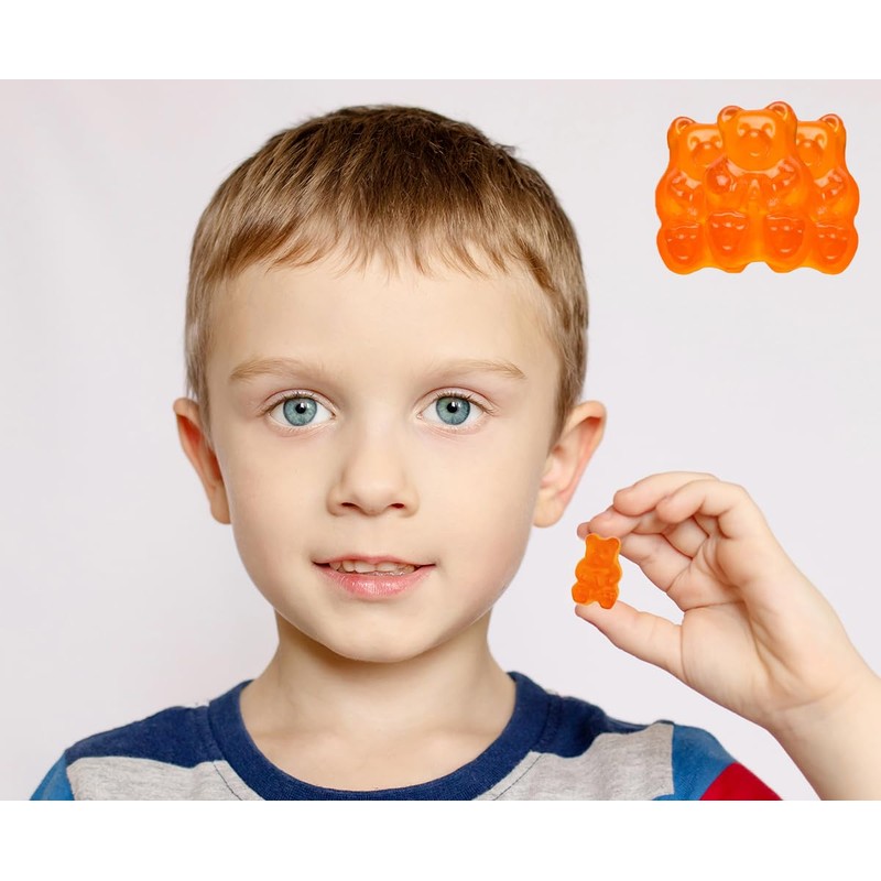 Fruidles Orange Gummi Bears Candy, Fruit Flavors Gummies, Allergy Friendly,