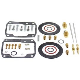 All Balls Racing 26-1948 Carburetor Rebuild Kit Compatible with/Replacement For Ski-Doo Formula Deluxe 670 1999, Formula MX Z 1996-1998, Formula SS 1996, Formula Z 1998-1999, Grand Touring 670 SE 1996