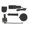 Delock USB Microphone PC Microphone Condenser Microphone Set - for