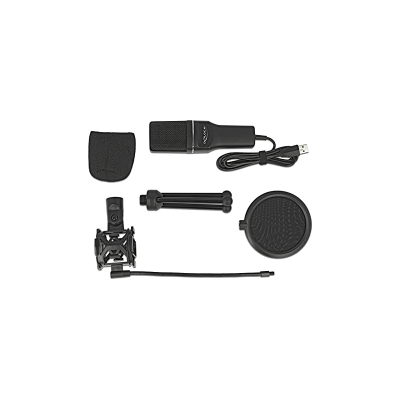 Delock USB Microphone PC Microphone Condenser Microphone Set - for