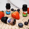 Holamay 5ml x 10 Bottles Fruits Fragrance Oils Set, 100ml