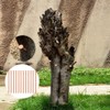 20 Pcs Copper Nails for Killing Trees, Stumps & -