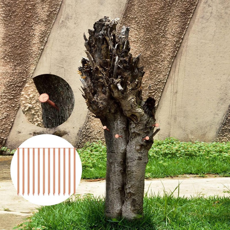 20 Pcs Copper Nails for Killing Trees, Stumps & -