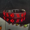 DOGLED Flashing USB-C led Light up Dog Collar, Subversive 3D